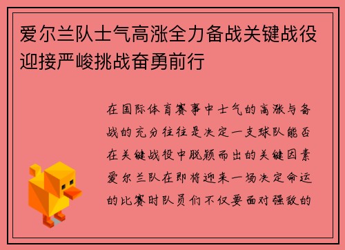 爱尔兰队士气高涨全力备战关键战役迎接严峻挑战奋勇前行