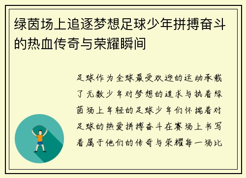 绿茵场上追逐梦想足球少年拼搏奋斗的热血传奇与荣耀瞬间
